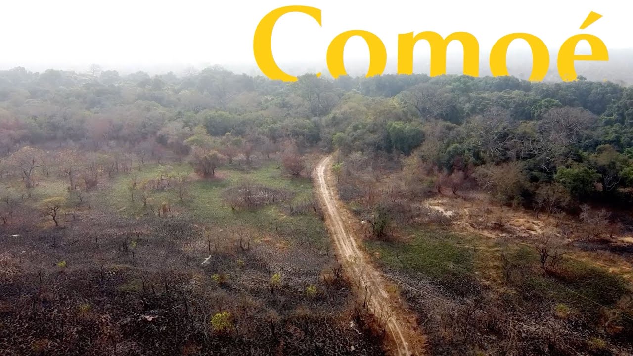 Comoé National Park