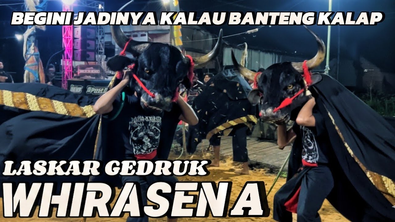 BEGINI JADINYA KALAU BANTENG KALAP WHIRASENA LIVE NGEMBAL WAJAK 
