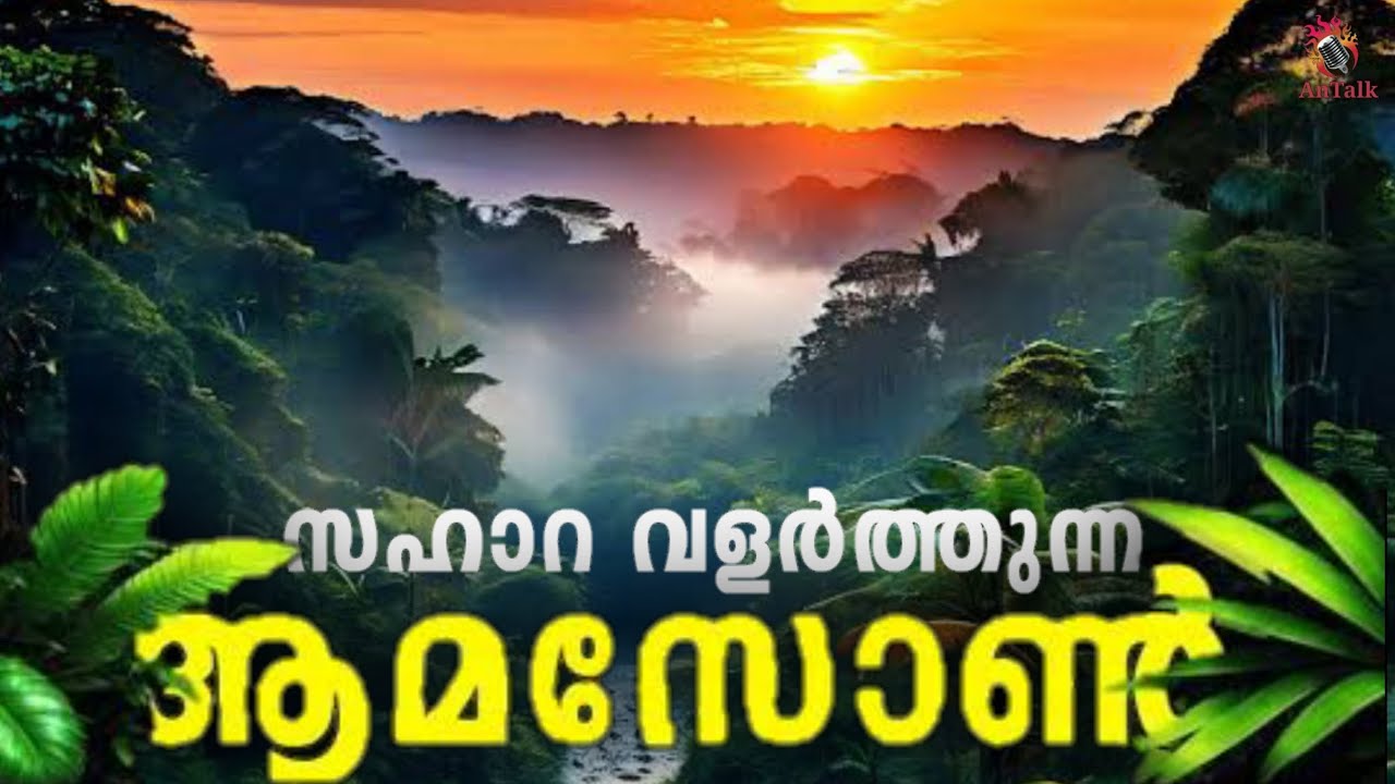 Amazon Rainforest | Sahara-The Hottest Desert | സഹാറ വളർത്തുന്ന ആമസോൺ |AnTalk #amazon#sahara #antalk