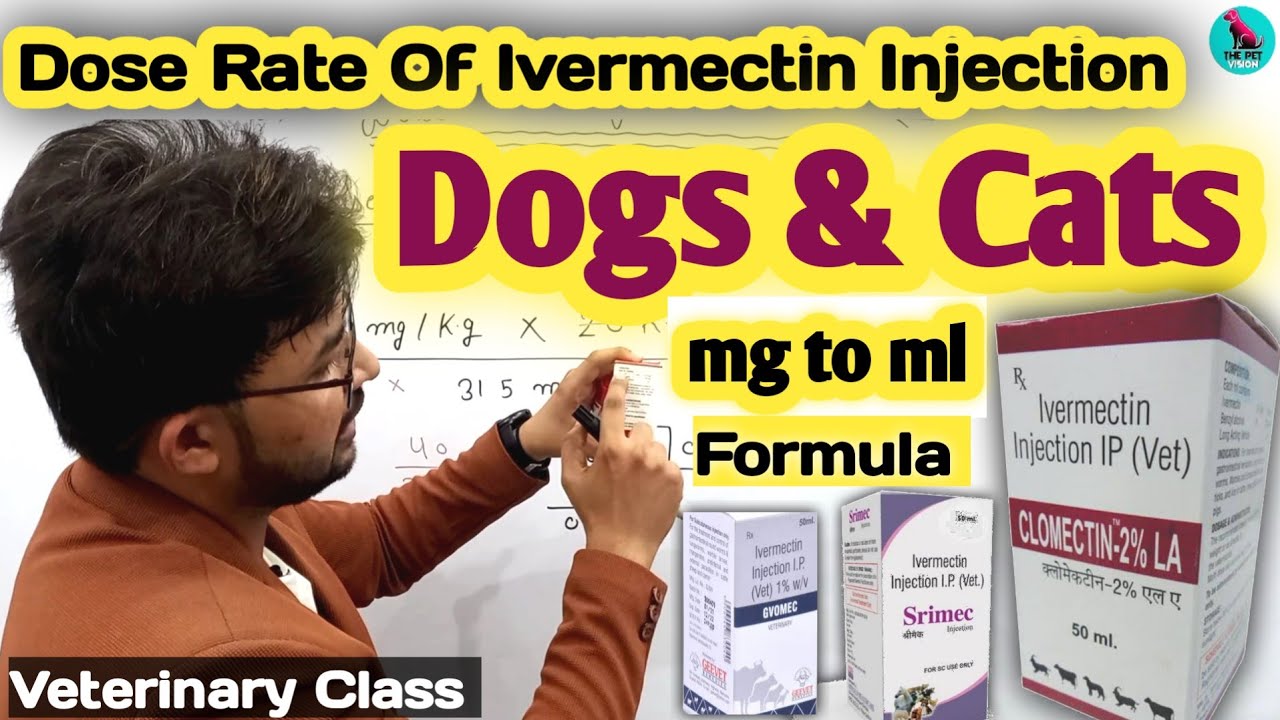 Ivermectin Dose Rate कैसे निकाले 🤔 ? || DOSE RATE CALCULATION || mg to ml || Dosage Of Ivermectin 💉
