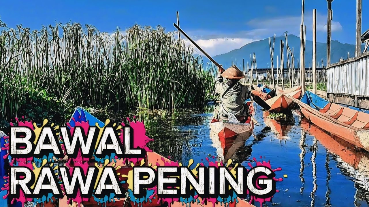 Spot mancing // mancing rawa pening terbaru