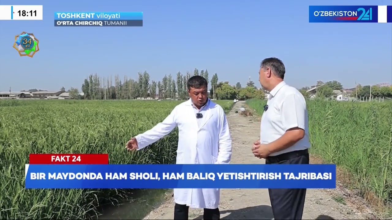 Bir maydonda ham sholi, ham baliq yetishtirish tajribasi