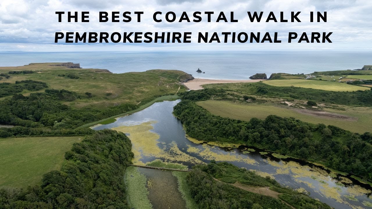 Bosherston Lily ponds, Broadhaven South, & Barafundle Bay | Pembrokeshire National Park's best walk
