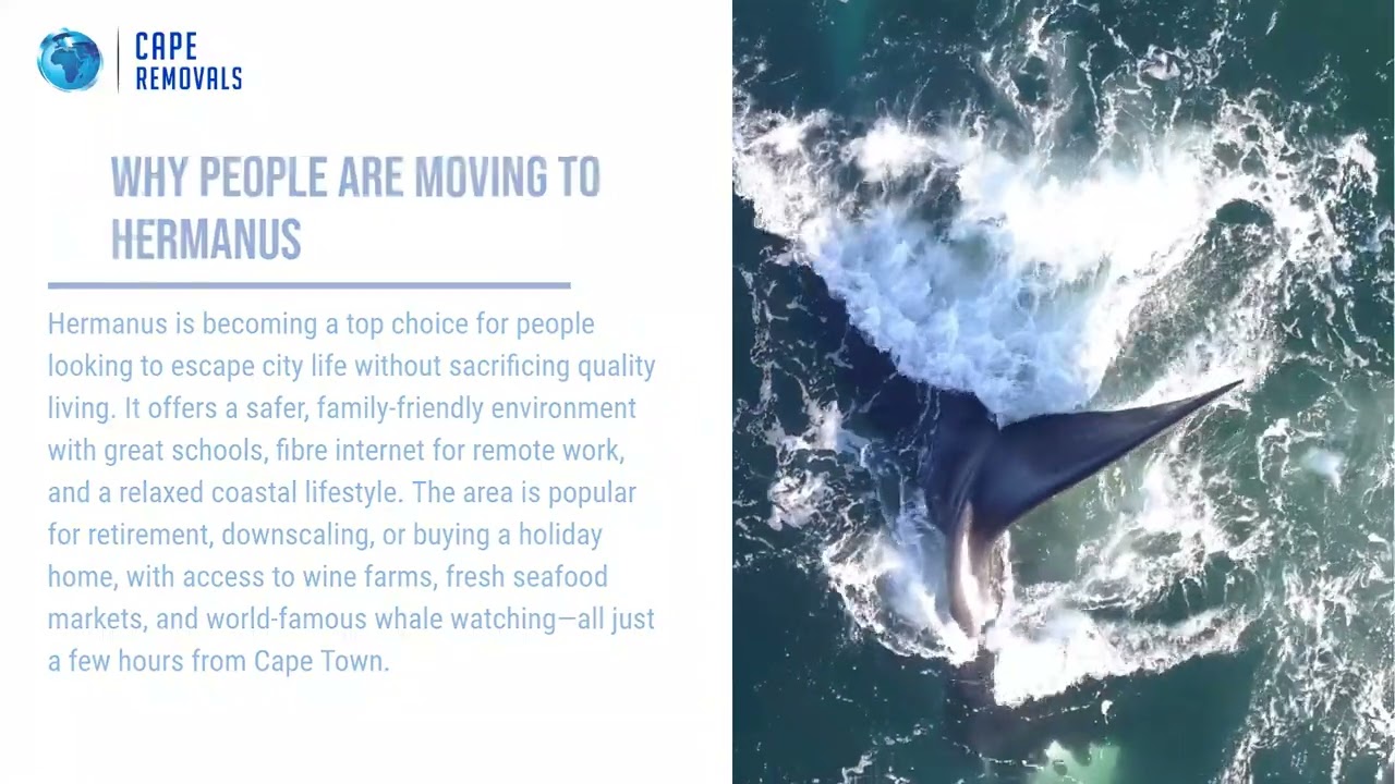 🚚 Moving to or from Hermanus? Let Cape Removals handle it with care!