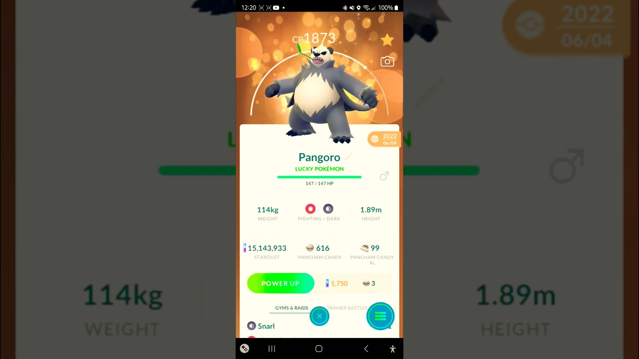 🍀LUCKY Pancham Family! (Pangoro) Fuzzy Buddy Research Day! Pokemon Go! #pokemon #pokemongo