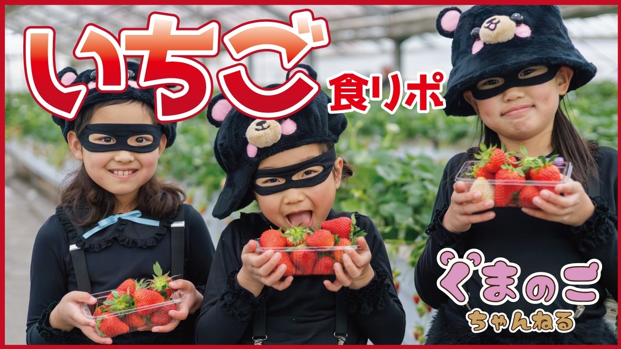 🍓朝摘み完熟いちご！自動販売機で買える！？【くまのこロケ】