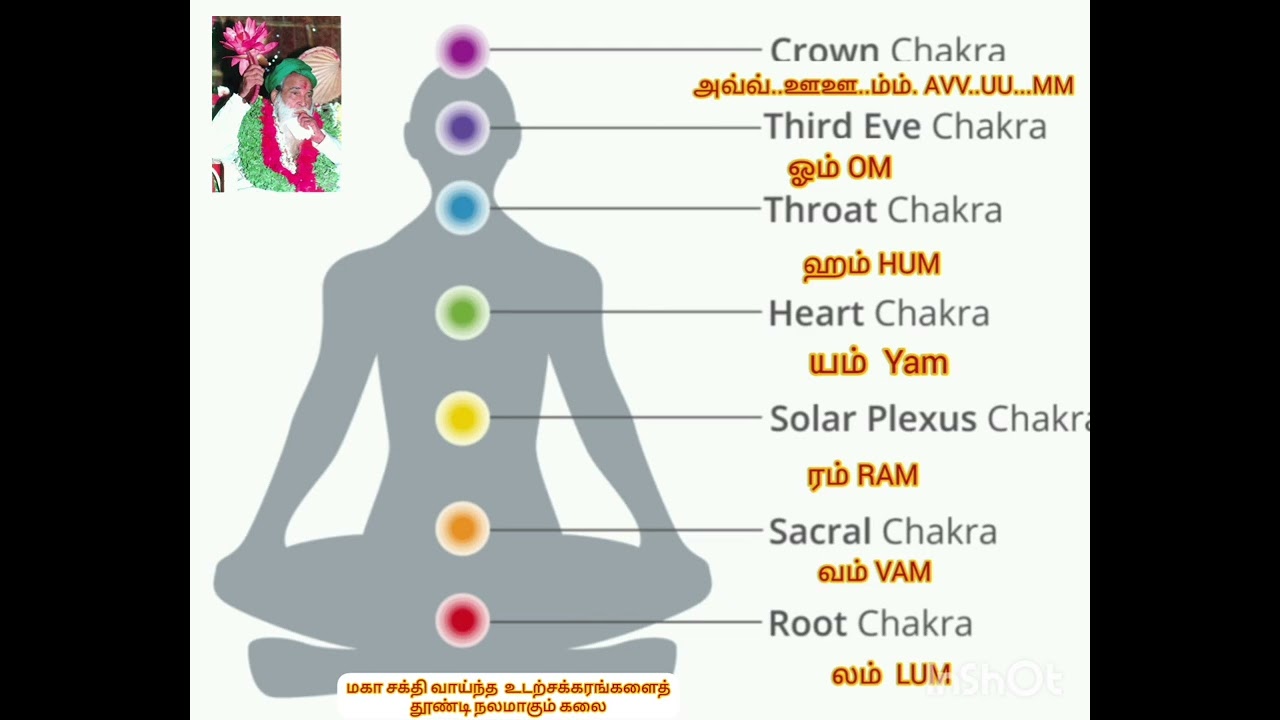 உடற்சக்கரங்களும் உடல் ஆரோக்கியமும்.