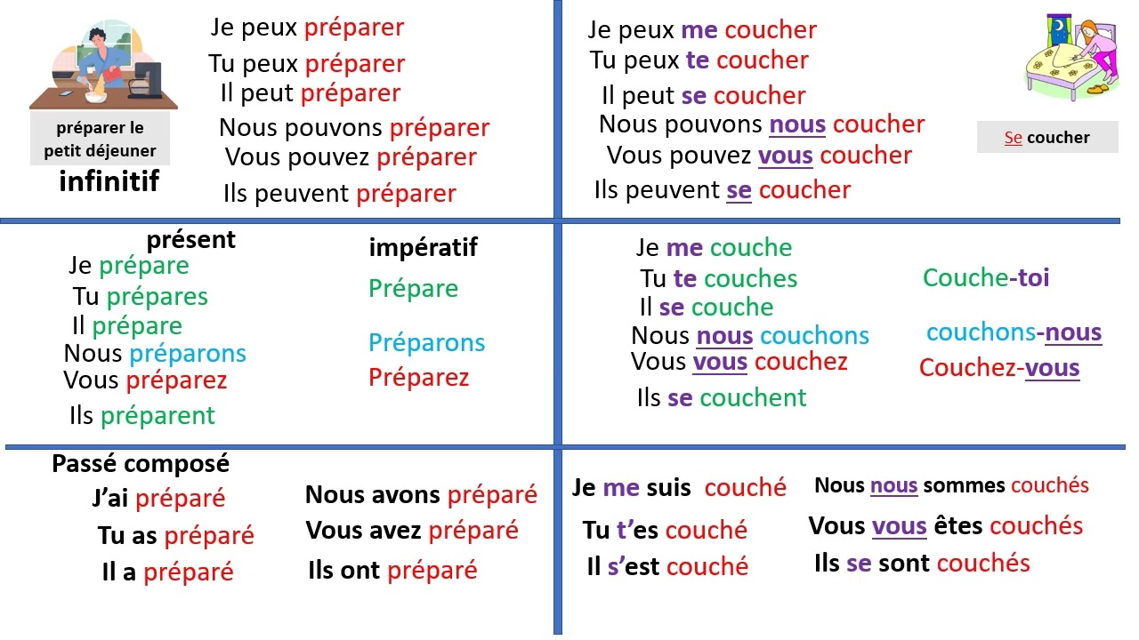 conjugaison 1 vidéo