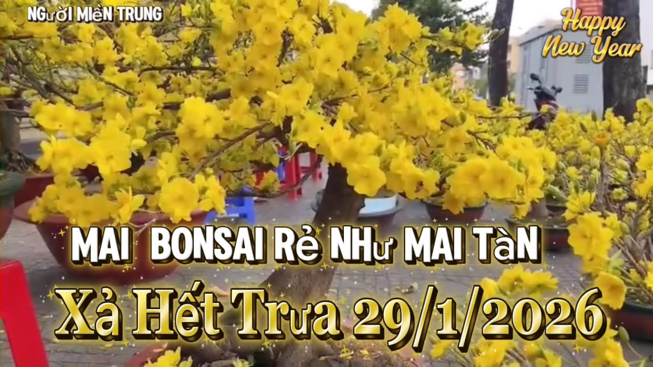 Chợ Hoq Tết Sài Gòn Quá Thê Thẩm ,Giảm giá Sâu Vẫn Uế Khách .rẻ Như Cho 