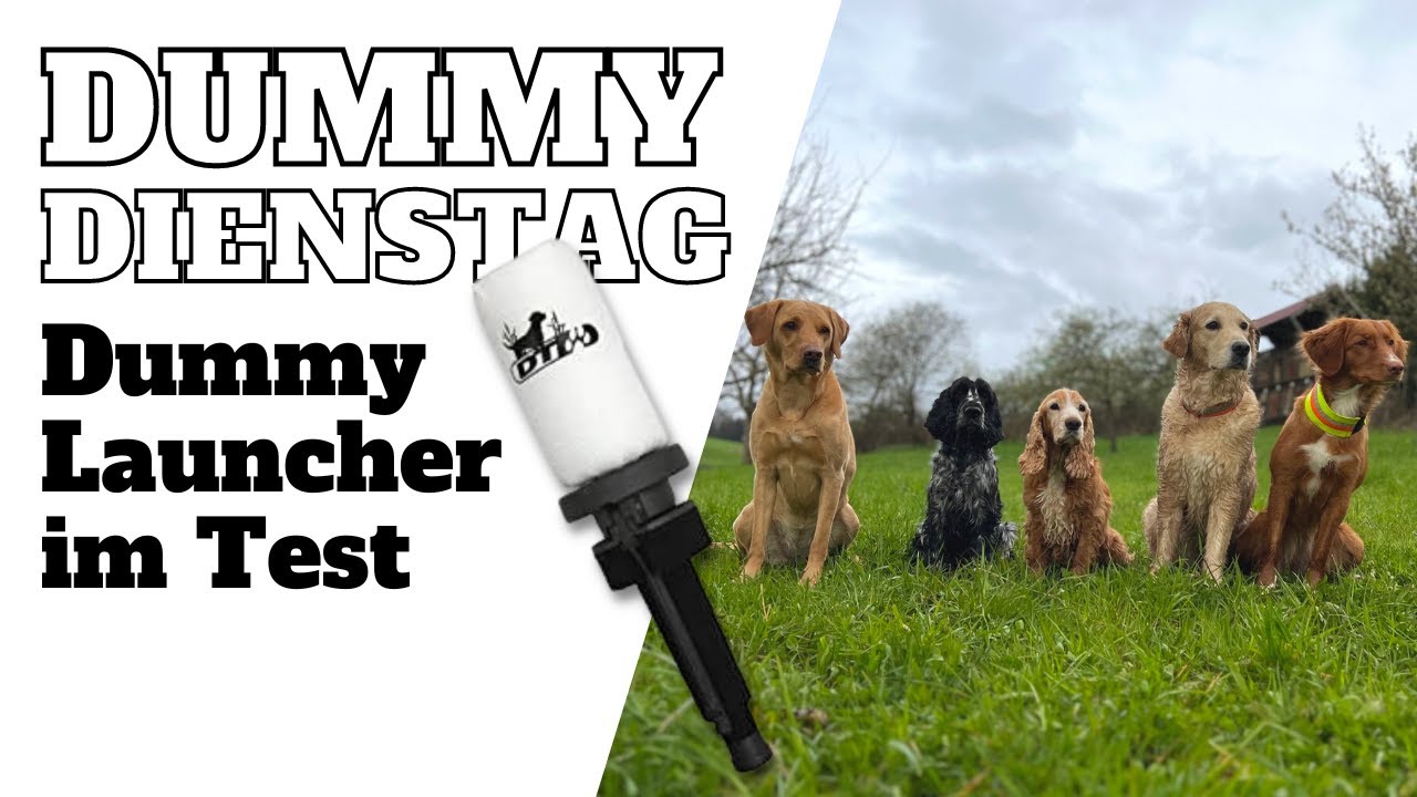 Dummytraining: Dummy Launcher