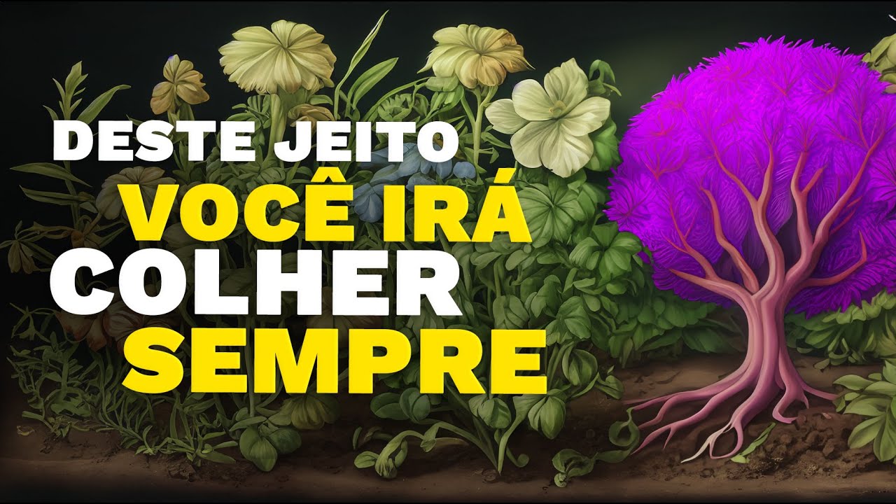 Cultivo para Todos: Desvendando o Plano Perfeito! DICAS PARA MONTAR UM BOM PLANO DE CULTIVO