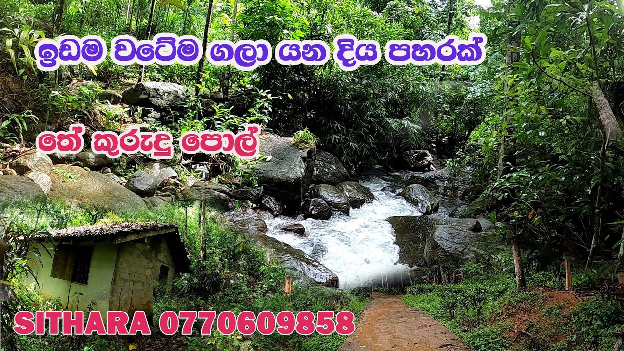 ඉඩම වටේම ගලා යන දිය පහරක්/තේ /කුරුදු /පොල් /idam/land/gewal/ SITHARA/0770609858