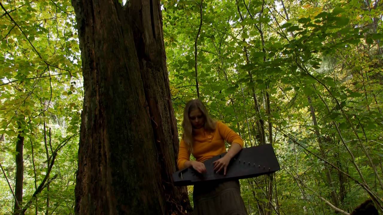 Sounding the Trees by Laima Jansone