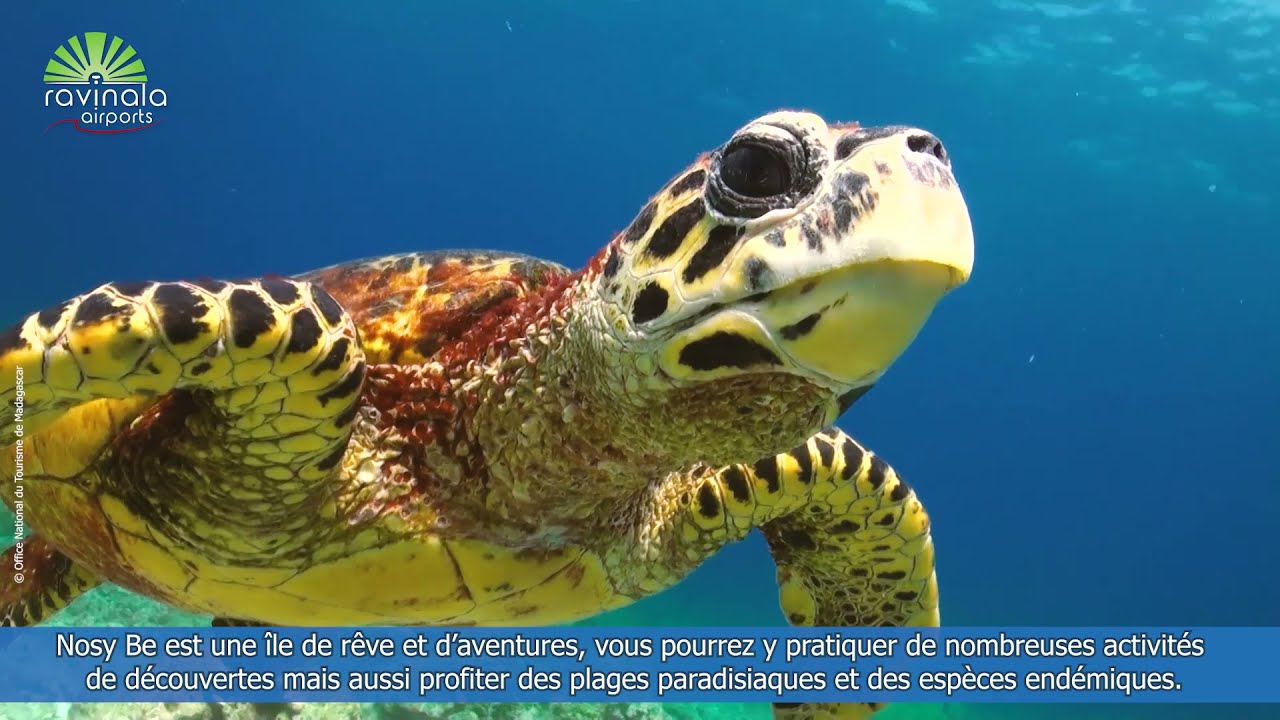 Madagascar - Aéroport de Nosy be
