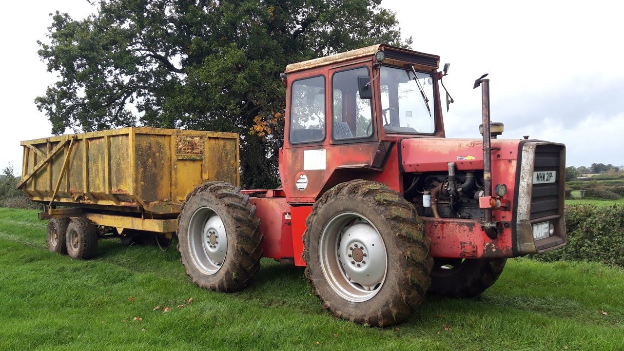 Четверг урожая. Massey Ferguson 1200 перевозит кормовую свеклу.