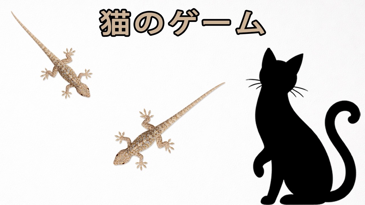 本物の家のヤモリが動き回る。猫は先に見つけられるかな？Real home lizards are on the move — can the cat spot them first?