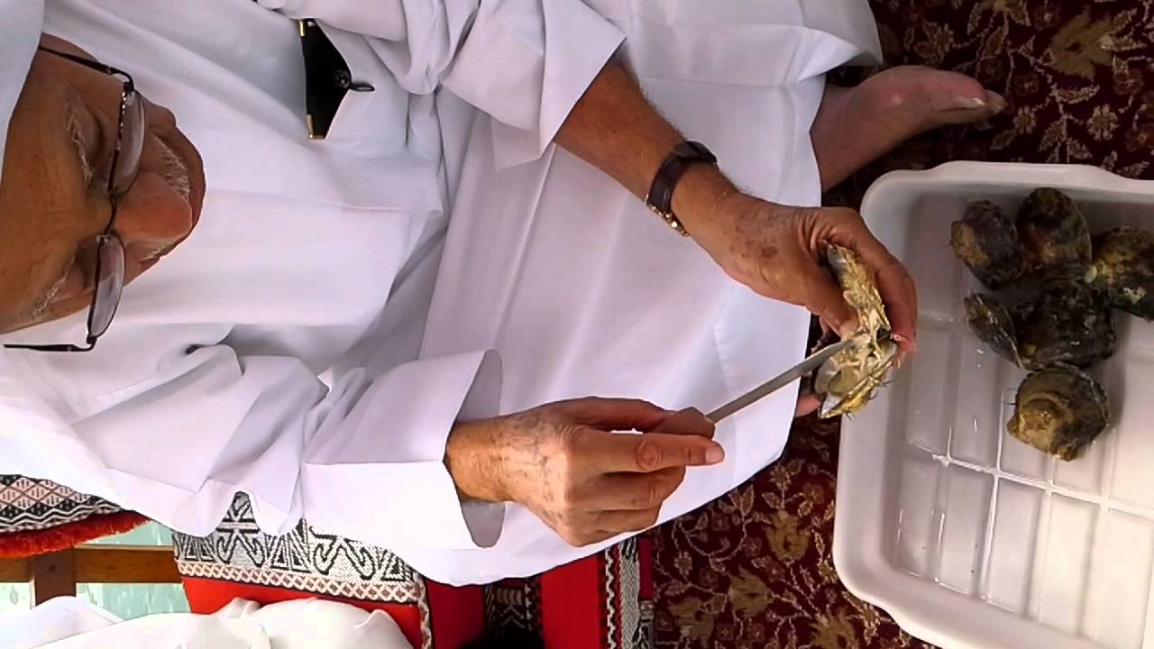 Juma Al Majid and pearl جمعه الماجد و اللؤلؤ