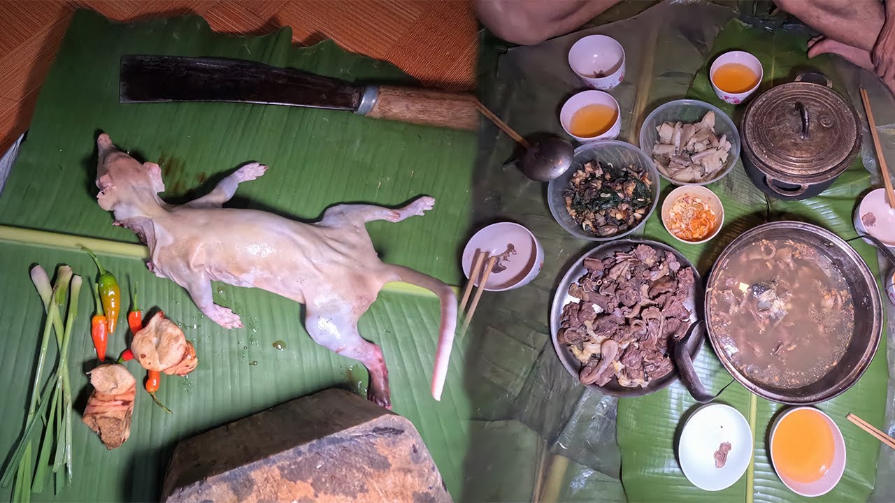 một ngày thăm bẫy may mắn về cuối cùng làm món thịt nấu hoa chuối ,@@SamSySot ​