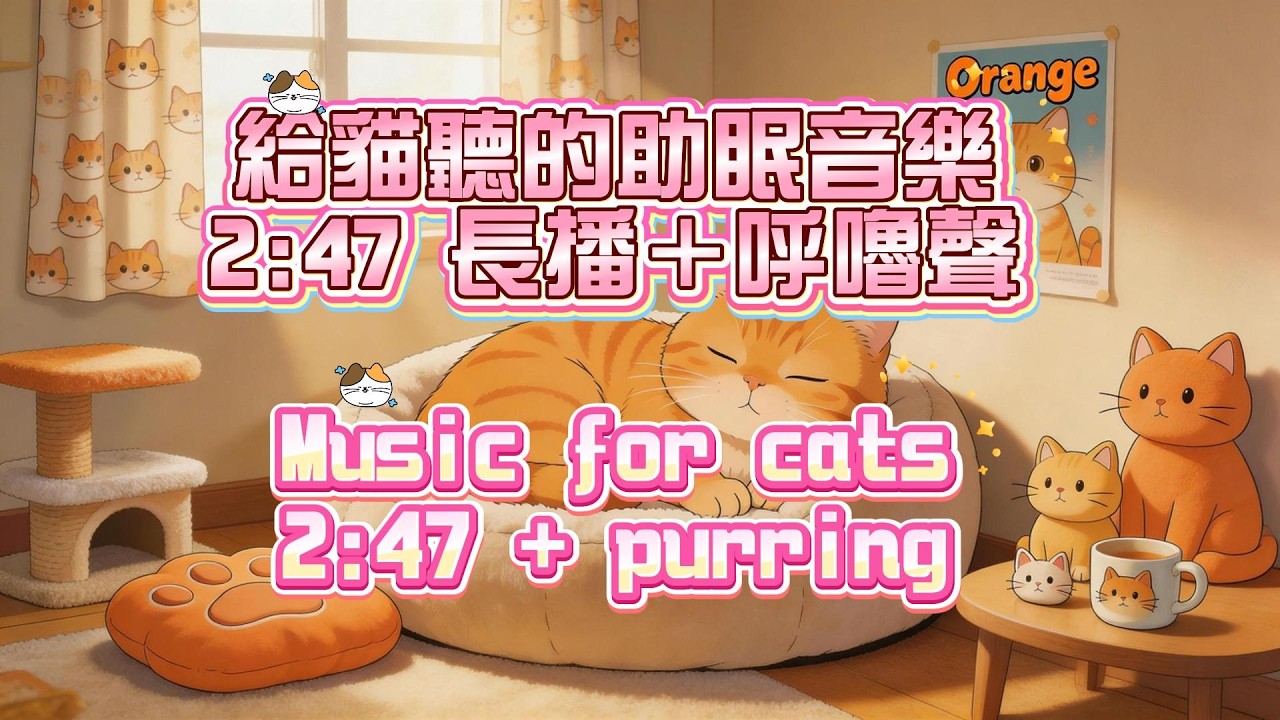 給貓聽的放鬆音樂合輯｜緩和緊張・新環境適應・長時間播放 | Music for Cats | Calm, Sleep, New Place Comfort | Long Play #catmusic