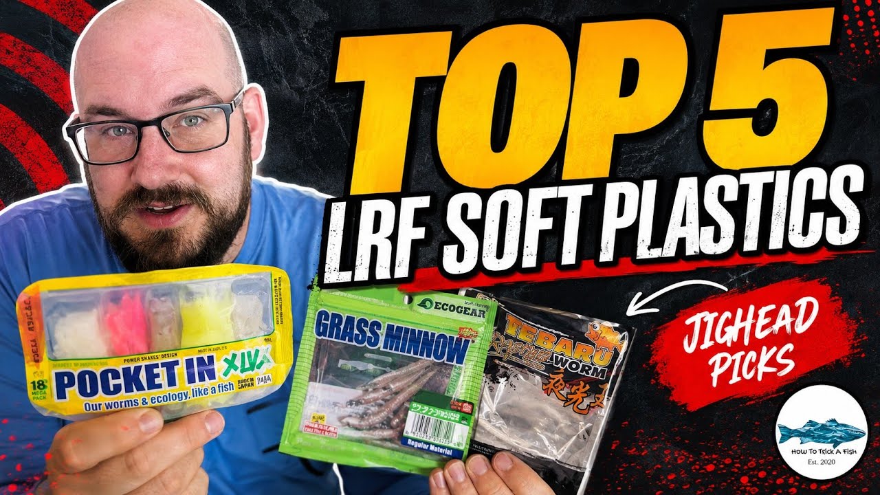 Top 5 Jighead soft plastics for LRF