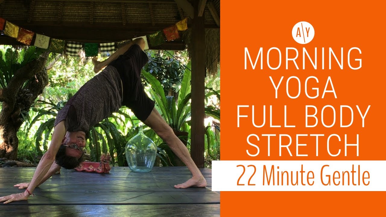 22 Minute Morning Full Body Stretch | Gentle Yoga | Adventure Yoga with Stephen Ewashkiw