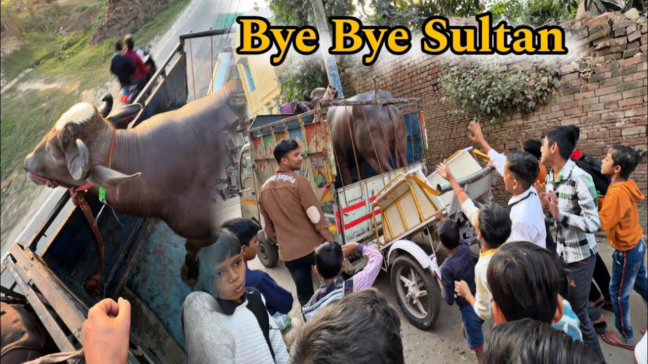 Sultan ka last day Amroha me || Bye Bye amroha || @Bull vlog
