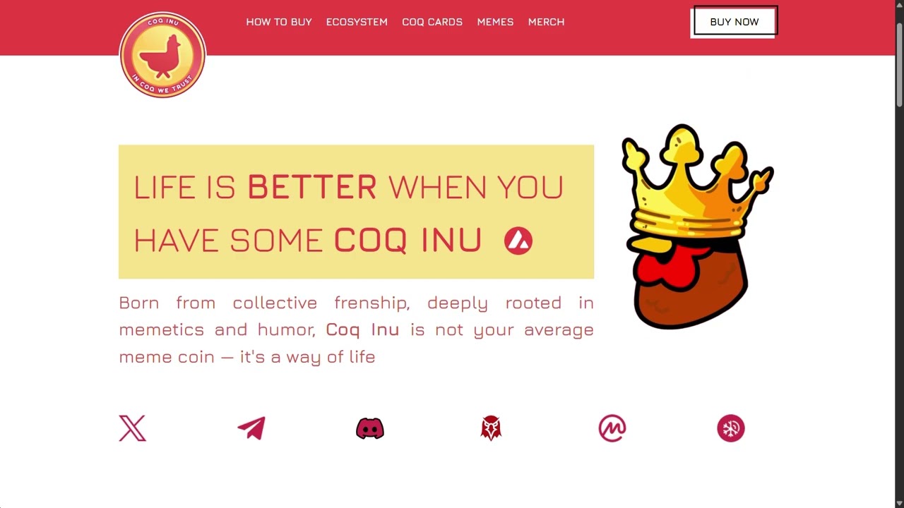 Всё о проекте Coq Inu ($COQ)!!