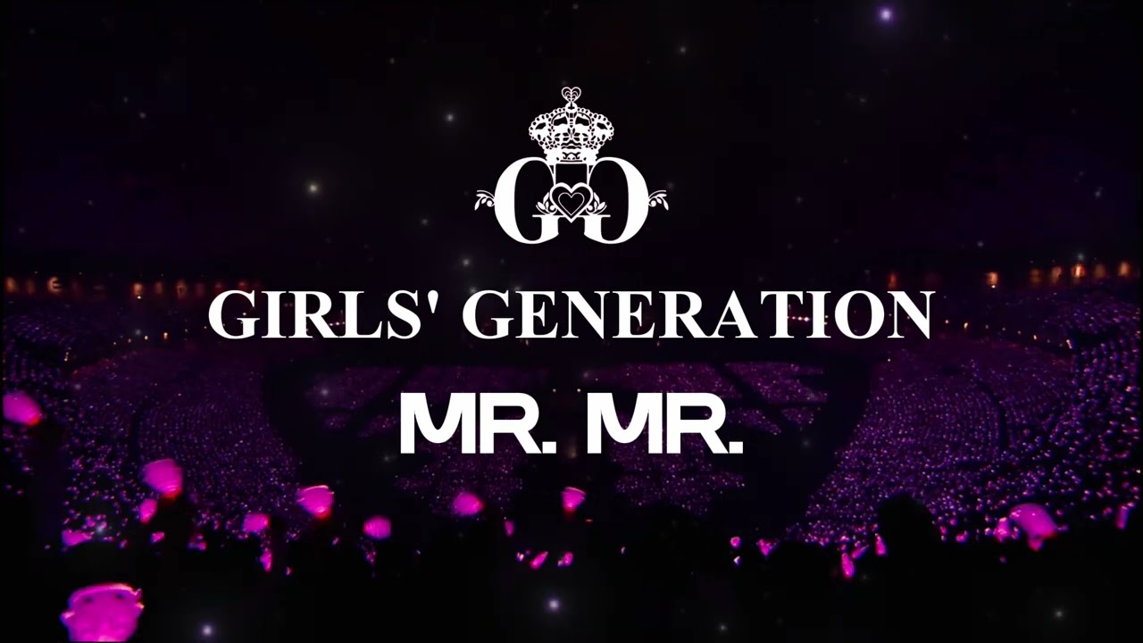 MR. MR. | GIRLS' GENERATION(소녀시대) | Empty Arena | Concert Audio