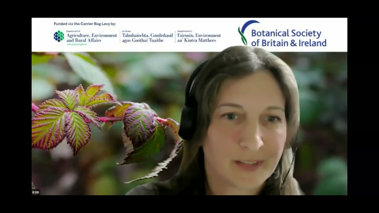 Webinar: A discussion on Bramble (Rubus) identification with Angus Hannah