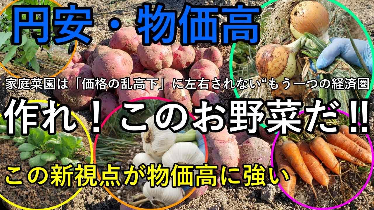 家庭菜園は“あなたの経済圏”になる保存作物×輪作でつくる内部循環の畑づくり【2026年版】円安・物価高に強い“保存作物ベスト3”