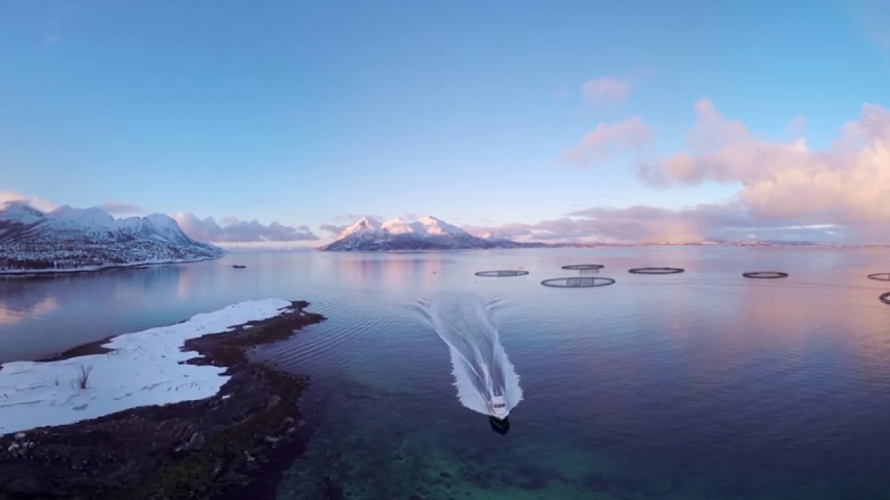 Cermaq Norway - the Arctic Experience