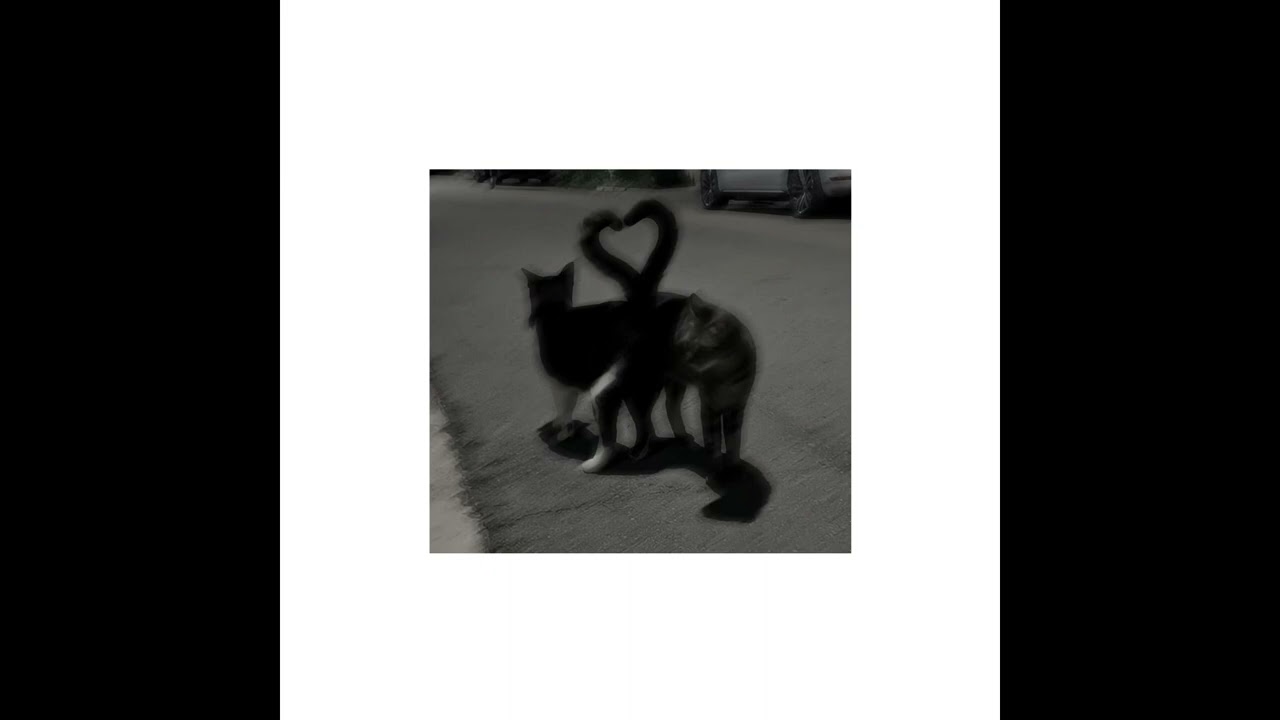 Montell Fish - I Just Wanna Feel Your Love Again. (Slowed Down)
