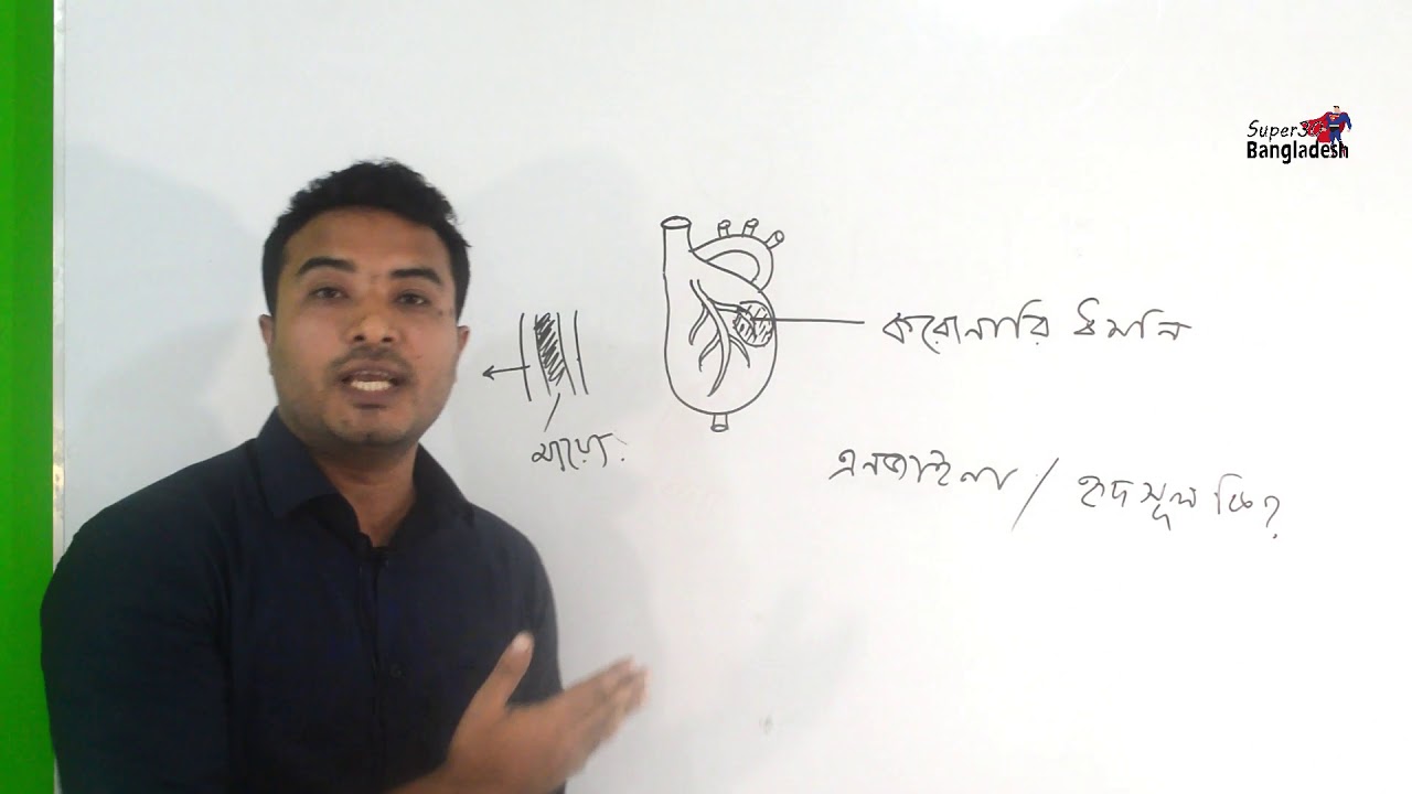Healthcare & Disease- Heart explained