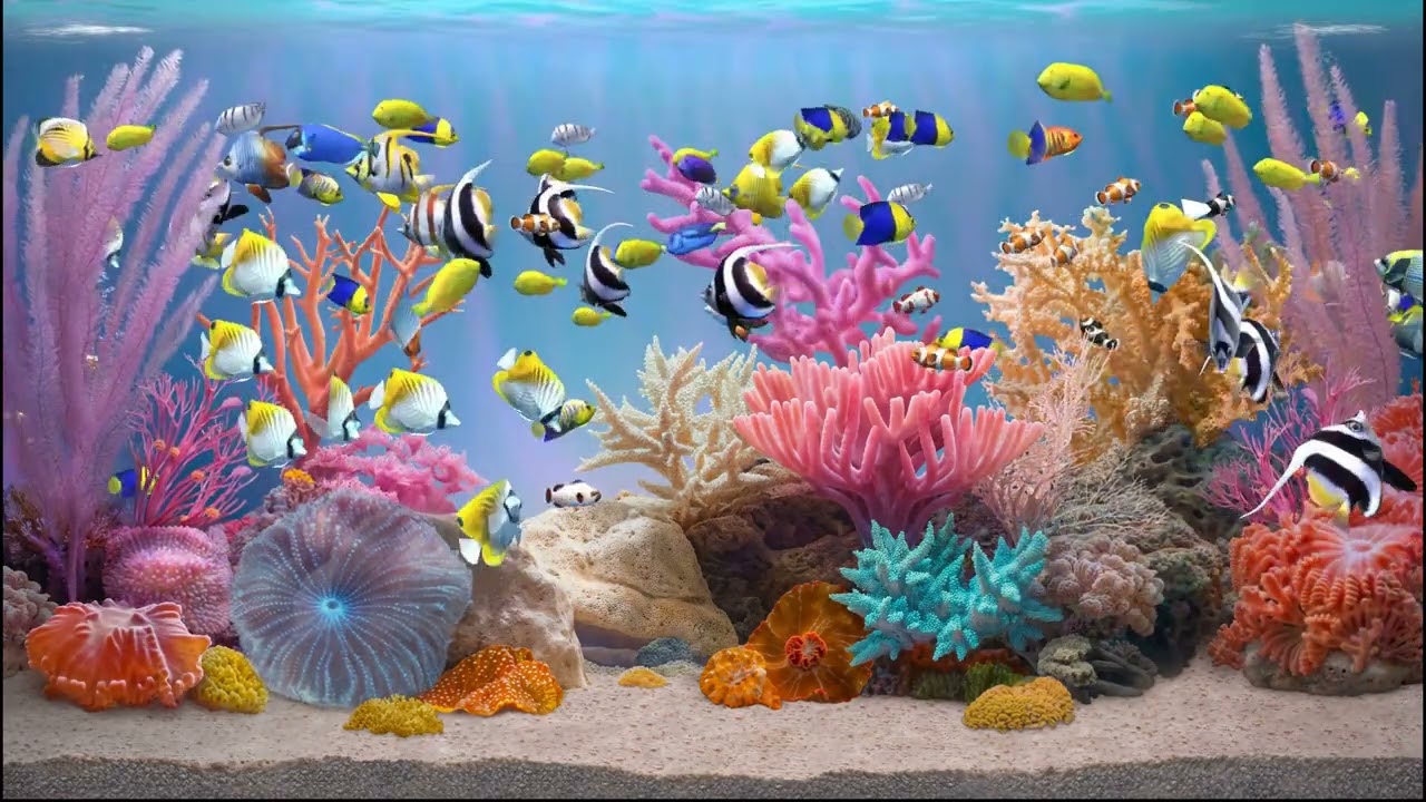Zen Aquarium - Poseidon's Pearl - 1 hour (no music)
