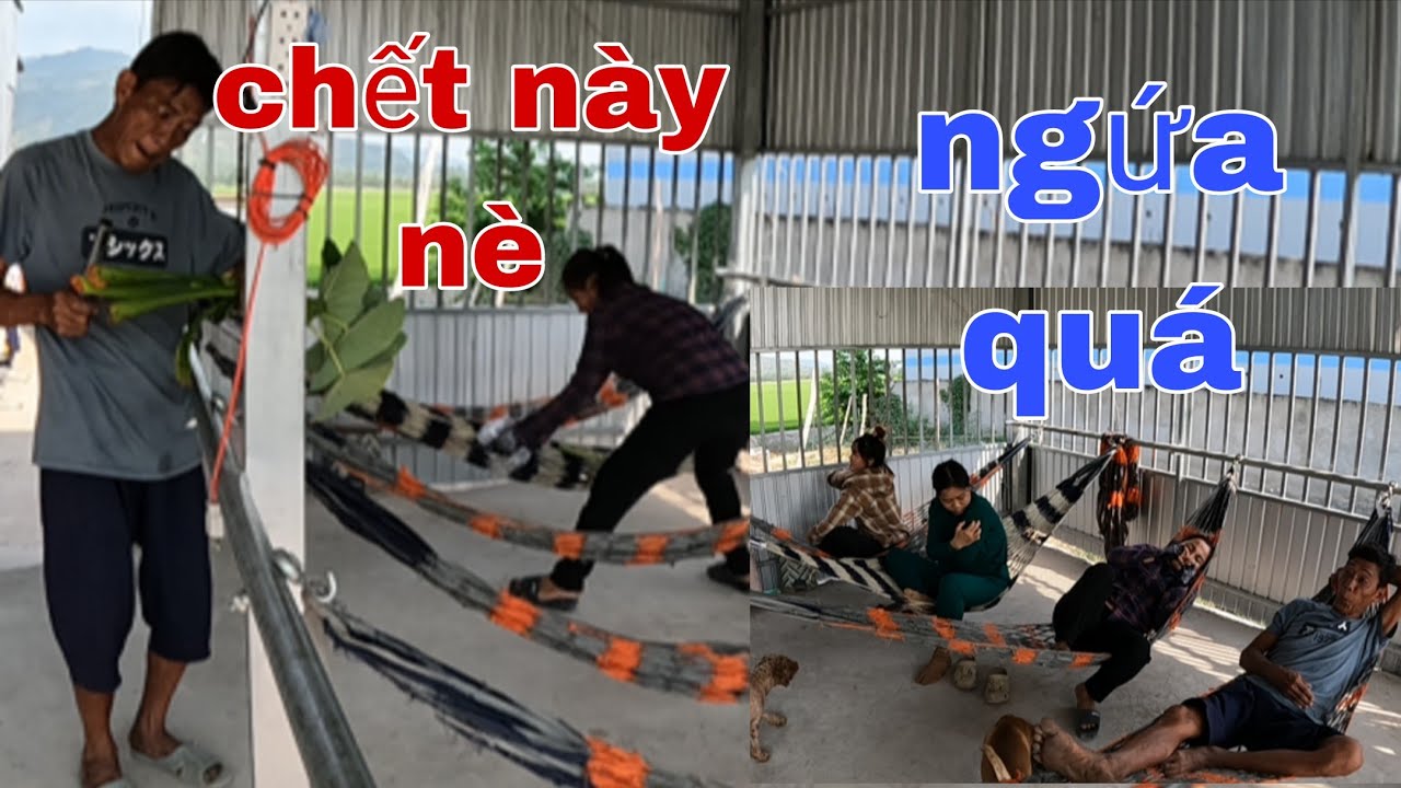 Lần Này Vợ  Chồng Tư Cà Khịa Quyết Tâm Cho Hai Con Báo Một Trận Linh Đình Và Cái Kết Phía Sau...