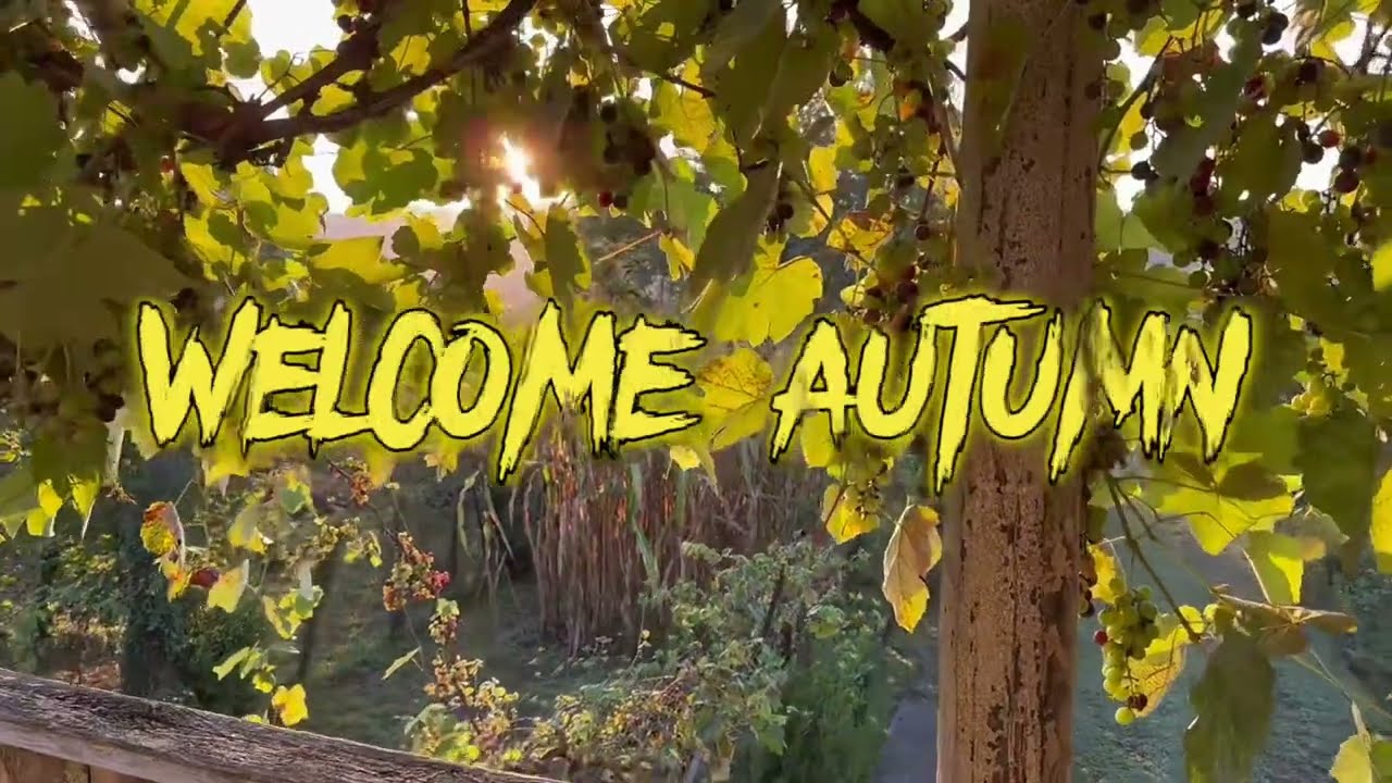 ჩემი და მადოს დილის ვლოგი ☕️🤍🫶🍂შემოდგომის მობრძანებას სამწგრელოში შევეგებე 💫💛