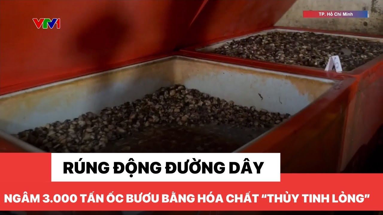 Rúng động đường dây ngâm 3.000 tấn ốc bươu bằng hóa chất dùng trong xây dựng