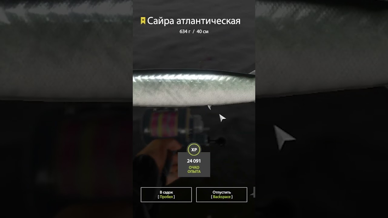 Эпизод 01 4 #русскаярыбалка4 #fishing #рыбалканафидер #рр4 #рыбалканаозере #рыбалка #carpfishing