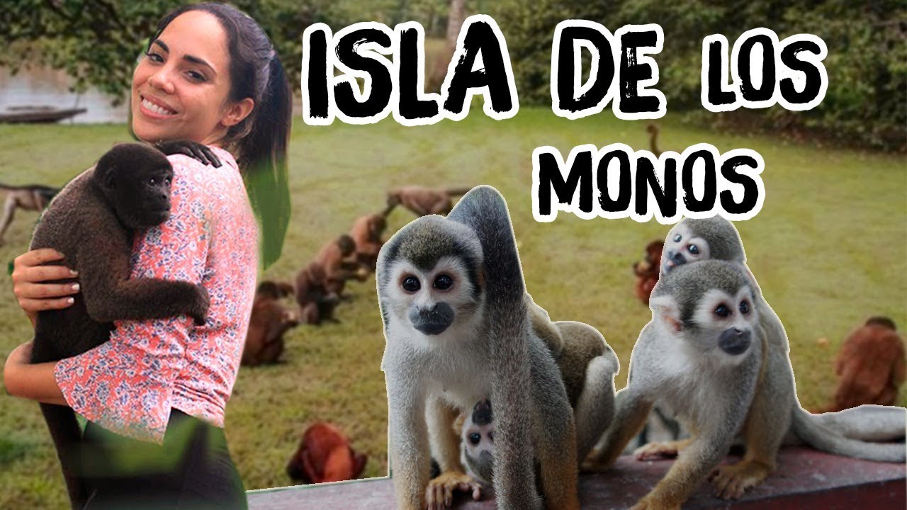 AQUÍ HAY UNA ISLA DE MONOS SECRETA - PERÚ | Katy Travels