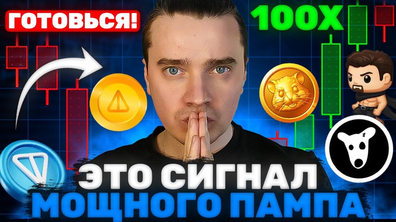 ⚠️СРОЧНО! ВСЕГО ... ДНЕЙ ДО МОЩНОГО ПАМПА ОТ ДУРОВА! 🟢 DOGS, NOTCOIN, TONCOIN, СТИКЕРЫ, ПОДАРКИ!