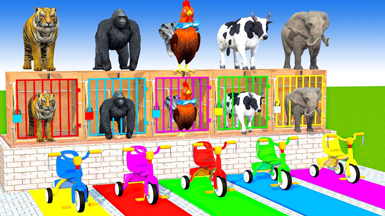 Long Slide Game With Cow Elephant Gorilla Hippopotamus Tiger 3d Animal Game Funny 3d Animals