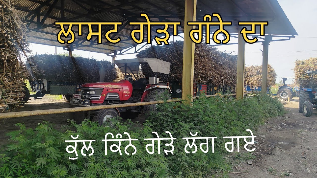 ਆਖਰੀ ਗੇੜਾ ਗੰਨੇ ਦਾ/ਕੁੱਲ ਕਿੰਨੇ ਗੇੜੇ ਲੱਗ ਗਏ/ਸੁੱਖ ਸ਼ਾਂਤੀ ਨਾਲ਼ ਲੱਗ ਗਏ ਸਾਰੇ ਗੇੜੇ/@Bindermahal 