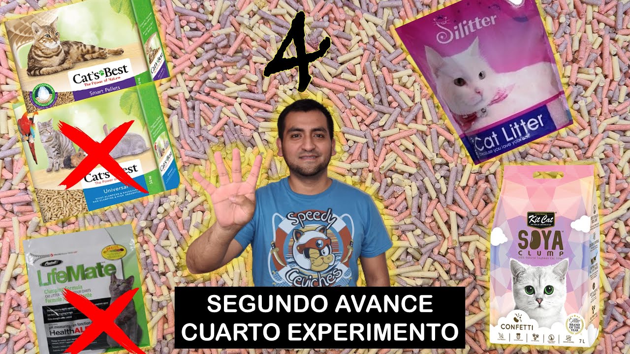 Segundo avance del cuarto experimento de arena sanitaria: la Cat's Best Universal parece aserrín