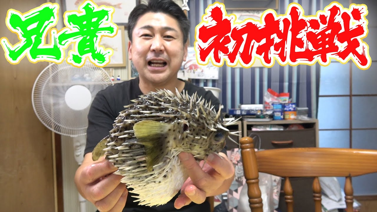 【兄貴の初挑戦】とにかく痛い！硬い！ネズミフグを初めて捌いて、食べてみたよ！