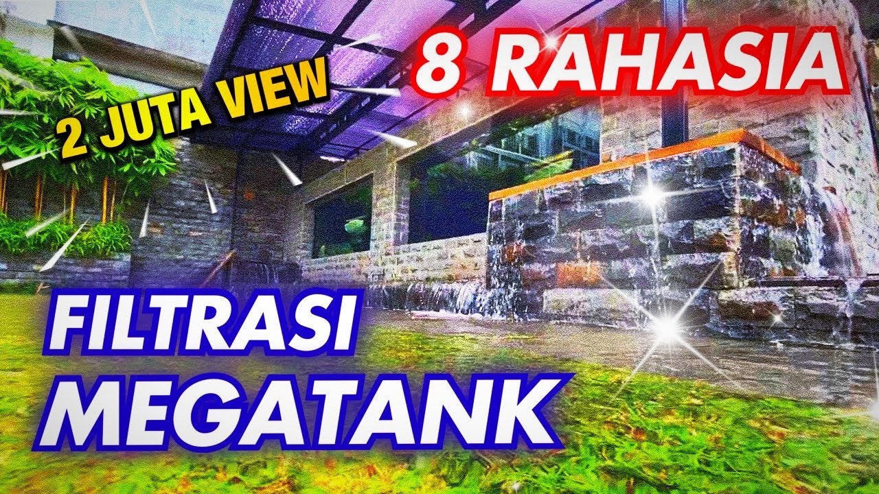 8 RAHASIA FILTER MEGATANK / KOLAM IKAN PREDATOR