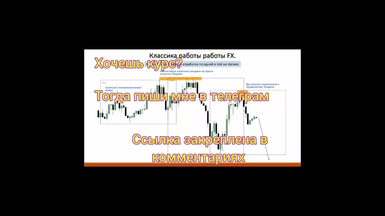 СЛИВ КУРСА ВОРЛД ВИД ИНВЕСТИНГ НОВЫЙ КУРС WORLD WIDE INVESTING 2024