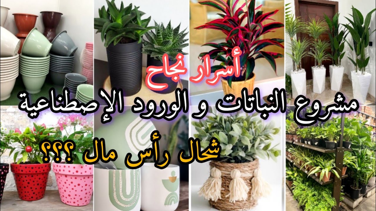 فكرة مشروع الورود و النباتات الإصطناعية🪴🍀 هل ناجح ؟ شحال رأس مال ؟ واش لازم ادوات باش تبداي ؟؟؟