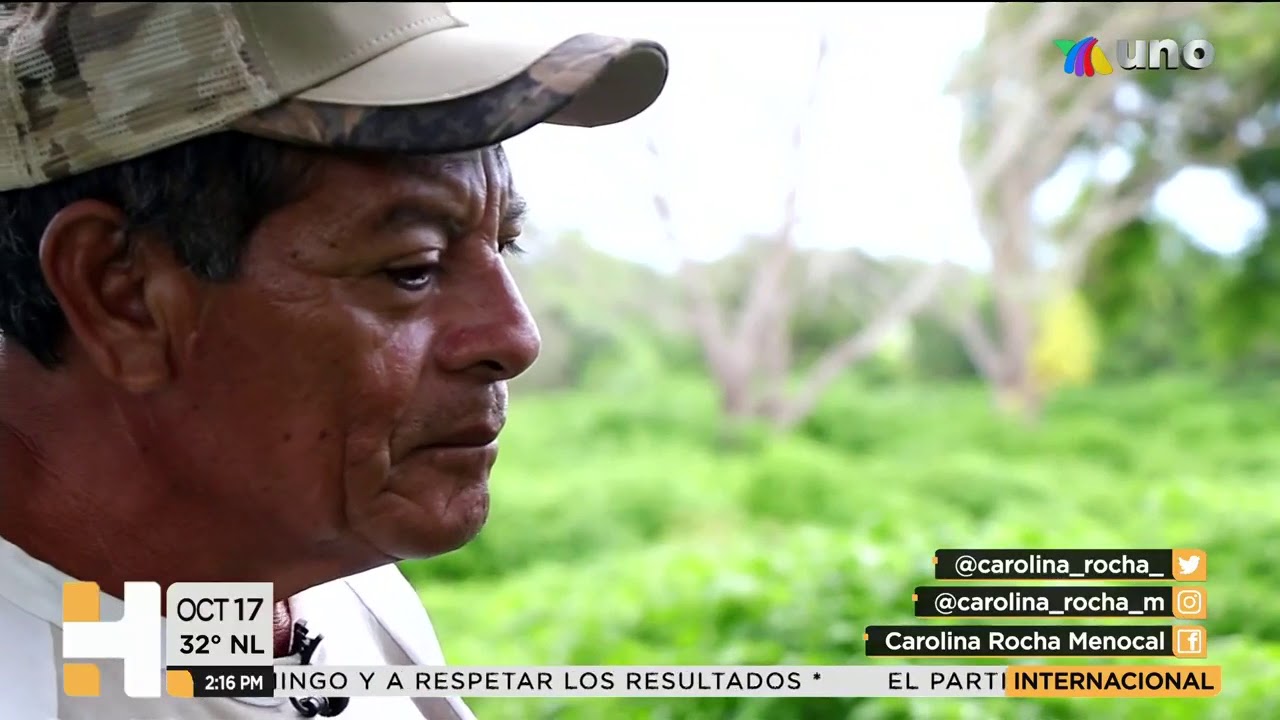 Península de Yucatán, tierra bondadosa del #habanero