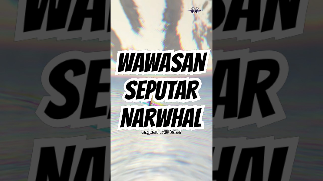 TAHU ENGGAK?” TERNYATA ITU ENGGAK TANDUK YANG PUNYANYA NARWHAL”😱 #duniahewan #faktaunik #narwhal