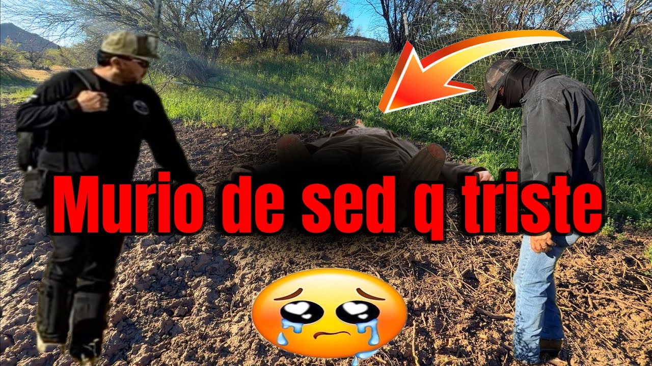 Murio no pudimos salvarle la vida 🥹